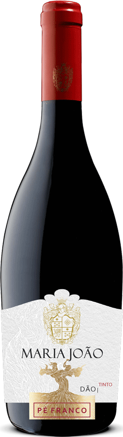 Maria Joao Pé Franco Tinto
