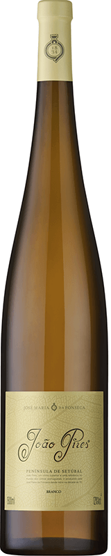 João Pires Branco Magnum