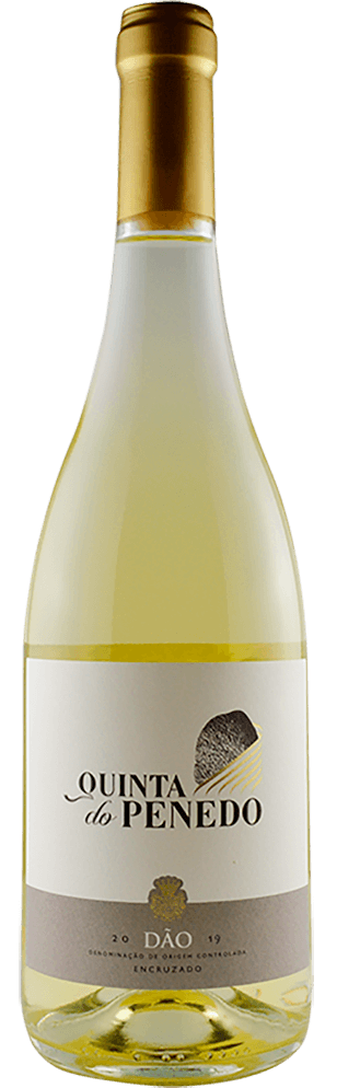Quinta Do Penedo Encruzado Branco