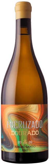 Ribeiro Santo Dourado Encruzado White 2020