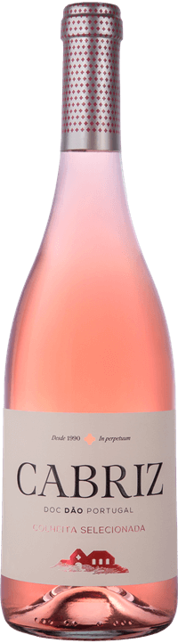 Cabriz Colheita Seleccionada Rose 2021