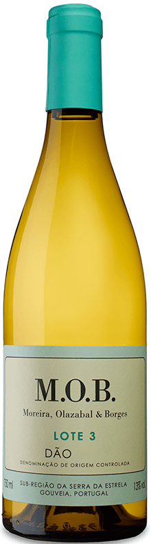 Mob Lot 3 White 2023