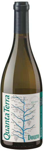 Quanta Terra Grande Reserva Branco