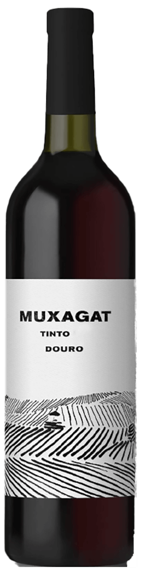 Muxagat Tinto