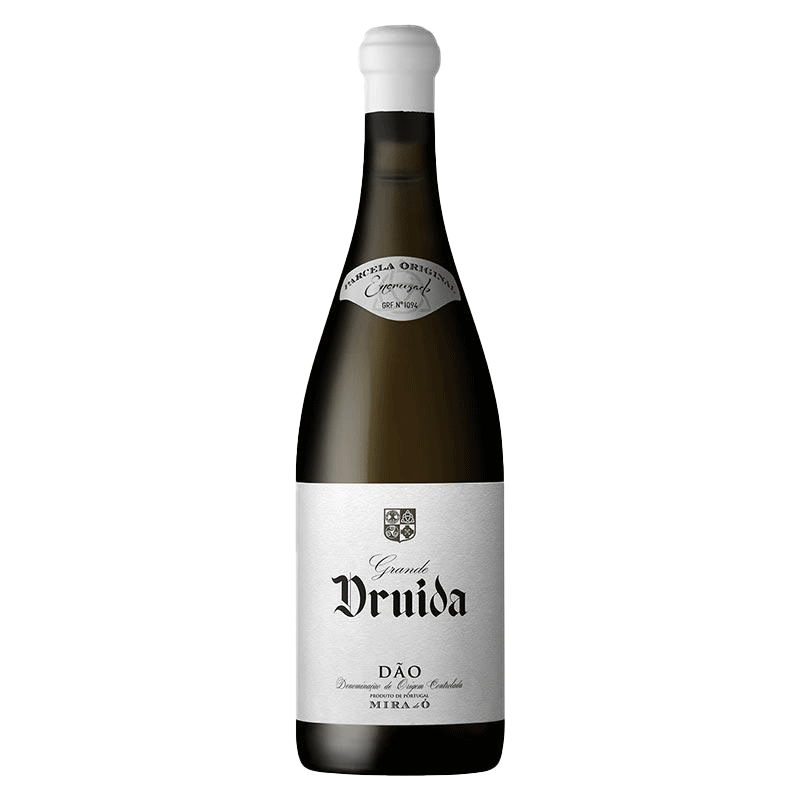 Grande Druida Encruzado Branco