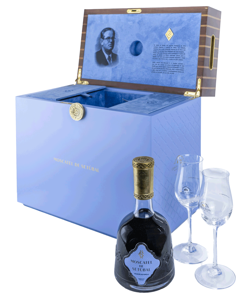 Moscatel Quinta Do Piloto Colheita De Família