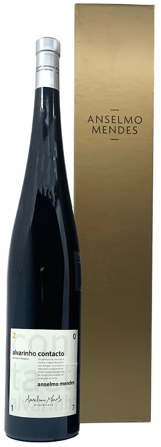Anselmo Mendes Contacto Magnum