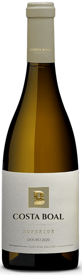 Costa Boal Superior Branco
