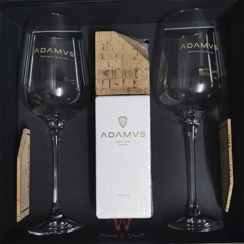 Gin Adamus Conjunto