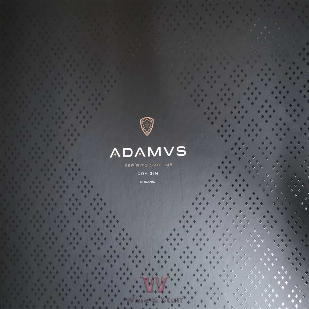 Gin Adamus Conjunto