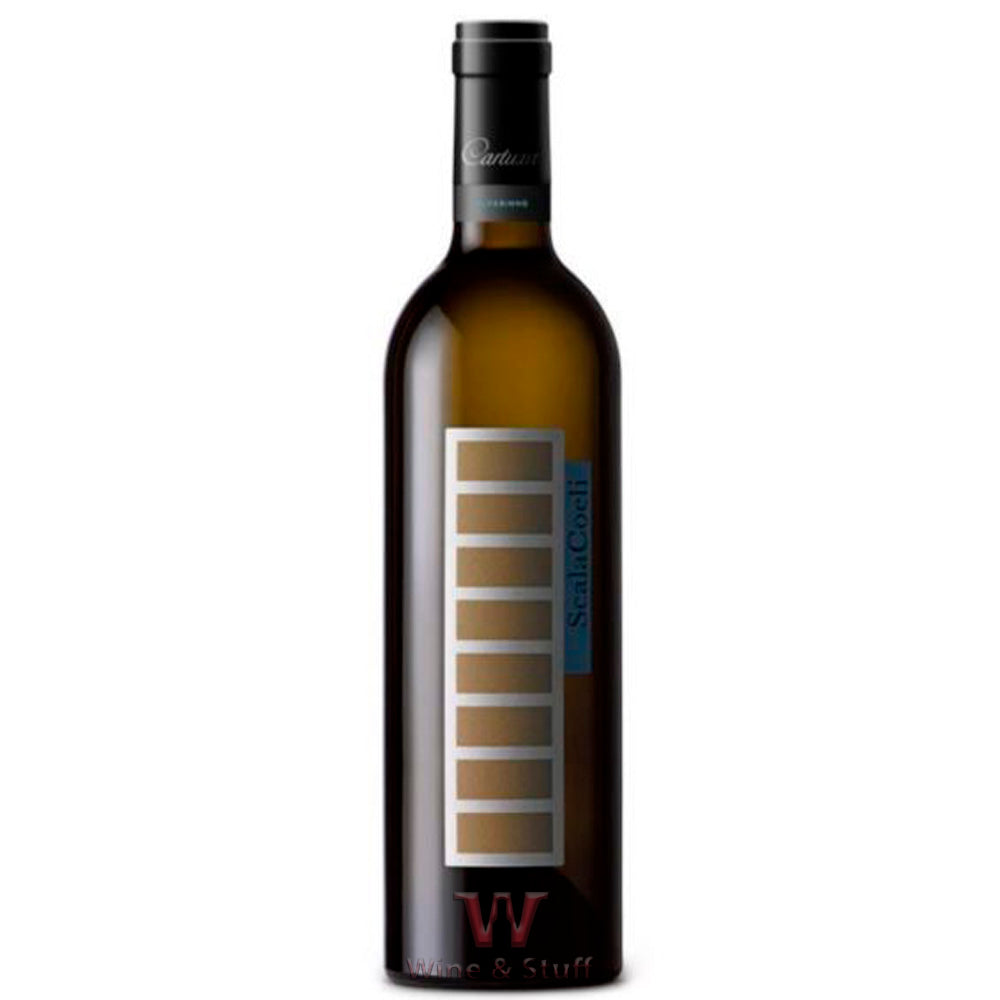 Scala Coeli 2015 Blanc