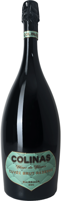 
                  
                    Espumante Colinas Sao Lourenco Blanc De Blancs Bruto Magnum
                  
                