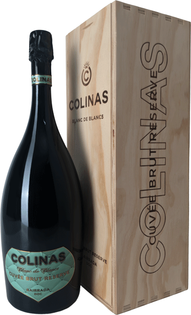 
                  
                    Espumante Colinas Sao Lourenco Blanc De Blancs Bruto Magnum
                  
                