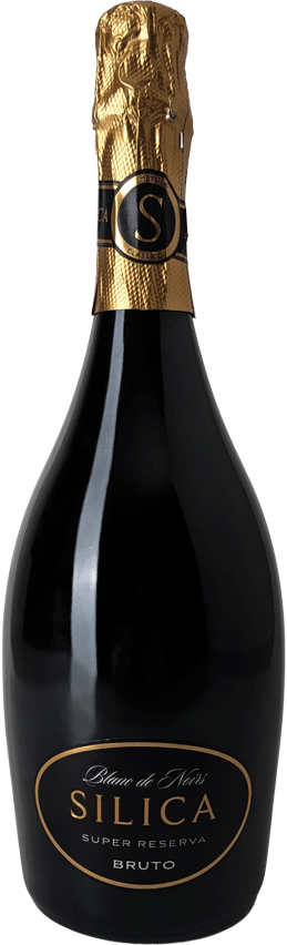 
                  
                    Espumante Silica Super Reserva Blanc De Noir Bruto
                  
                