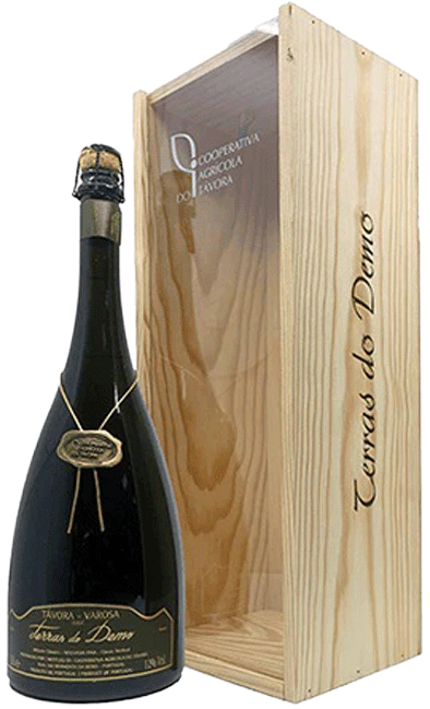 
                  
                    Espumante Terras Do Demo Bruto Magnum (caixa Madeira)
                  
                
