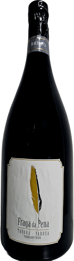 
                  
                    Espumante Fraga Da Pena Bruto Magnum
                  
                