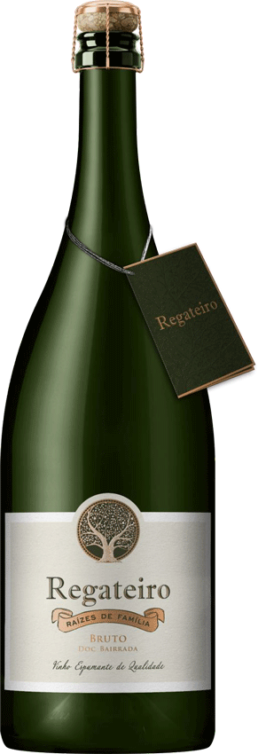 
                  
                    Espumante Regateiro Raizes De Familia Bruto Magnum
                  
                
