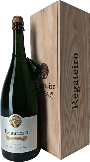 
                  
                    Espumante Regateiro Raizes De Familia Bruto Magnum
                  
                