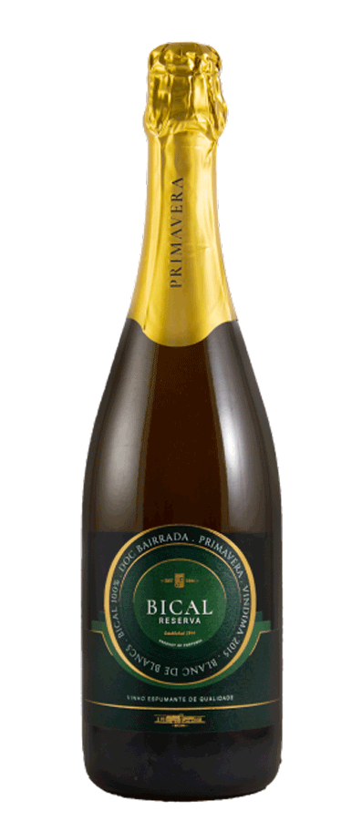
                  
                    Primavera Bical Reserva Brut 2015
                  
                