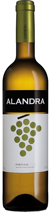 
                  
                    Alandra Branco
                  
                