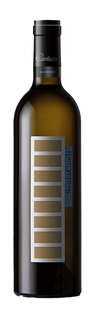 Scala Coeli Sauvignon Blanc Branco