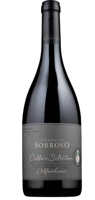 
                  
                    Conjunto Herdade Sobroso Cellar Wine & Wellness
                  
                