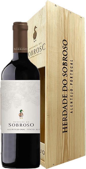 
                  
                    Sobroso Tinto Magnum
                  
                