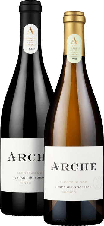 
                  
                    Herdade Sobroso Arche Tinto E Branco (conjunto 2 Garrafas)
                  
                