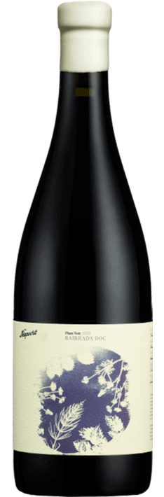
                  
                    Bairrada Niepoort Pinot Noir Tinto
                  
                
