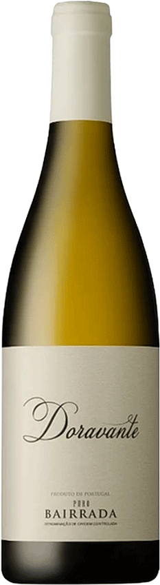 
                  
                    Doravante Branco
                  
                