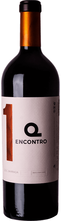 
                  
                    Encontro 1 Branco
                  
                