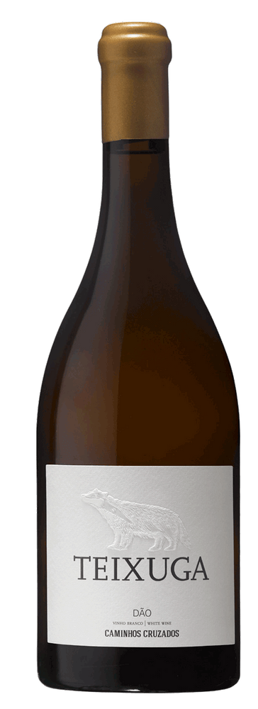 
                  
                    Teixuga White 2019
                  
                