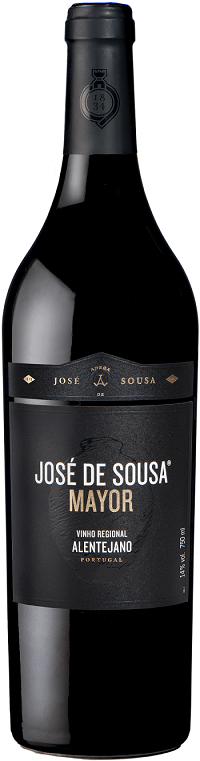 
                  
                    José De Sousa Maire Rouge 2018
                  
                