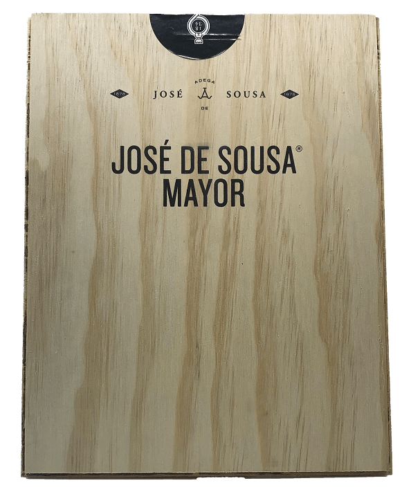 
                  
                    José De Sousa Maire Rouge 2018
                  
                