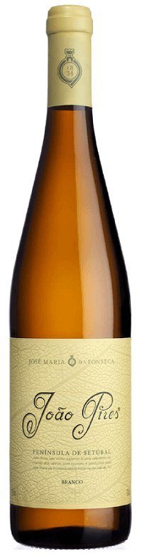 
                  
                    João Pires Branco 2023
                  
                