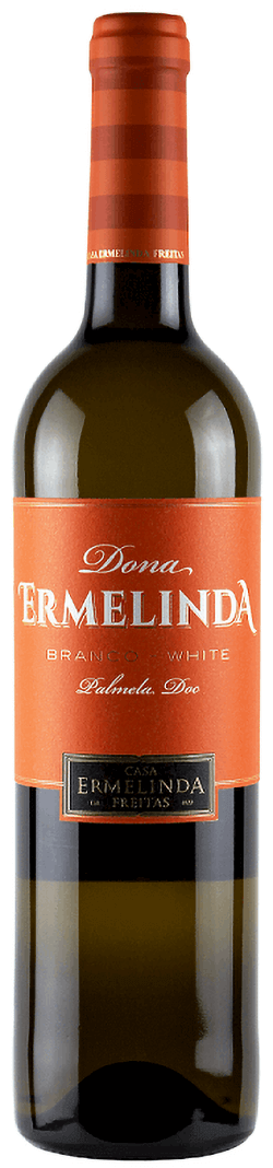 
                  
                    Doña Ermelinda Branco 2023
                  
                