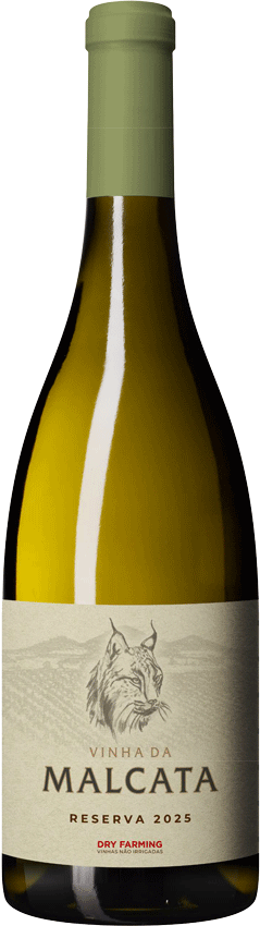 
                  
                    Vinha Da Malcata Reserva Branco
                  
                