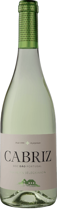
                  
                    Cabriz Colheita Seleccionada Branco 2021
                  
                