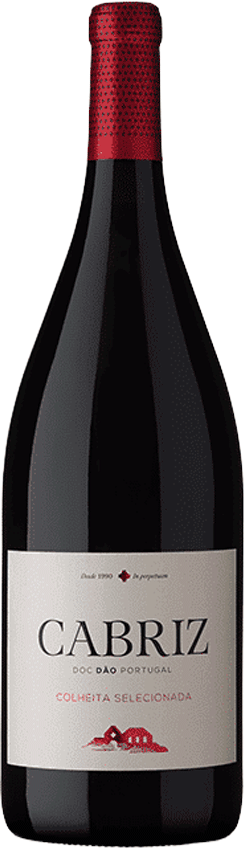 
                  
                    Cabriz Tinto Magnum 2022
                  
                