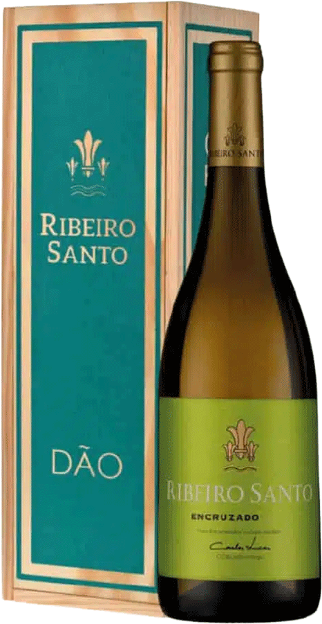 
                  
                    Ribeiro Santo Encruzado Branco Magnum
                  
                