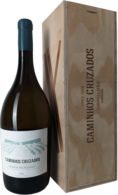 
                  
                    Caminhos Cruzados Reserva Encruzado Branco Magnum
                  
                