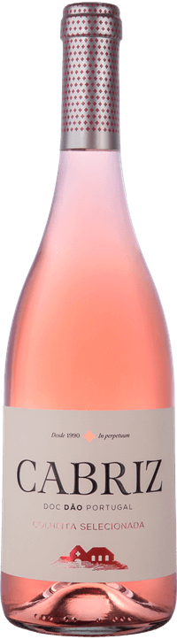 
                  
                    Cabriz Selected Harvest Rose 2021
                  
                