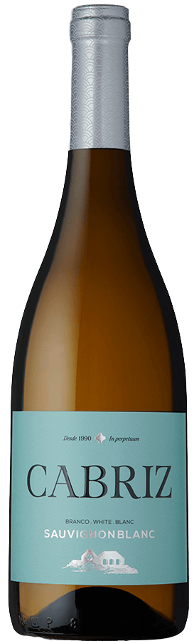 
                  
                    Cabriz Sauvignon Blanc Branco
                  
                