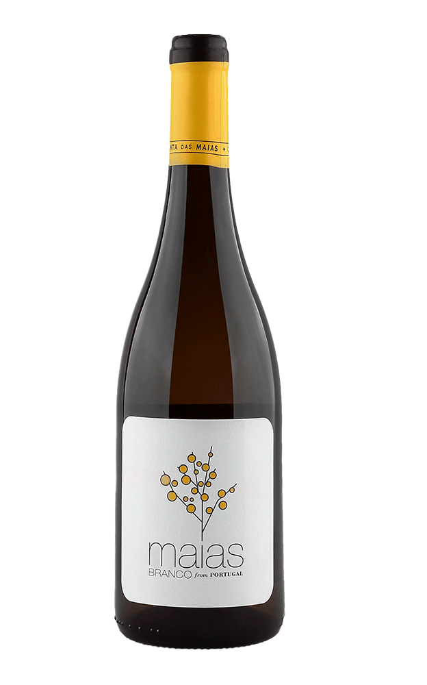 
                  
                    Maias Branco
                  
                