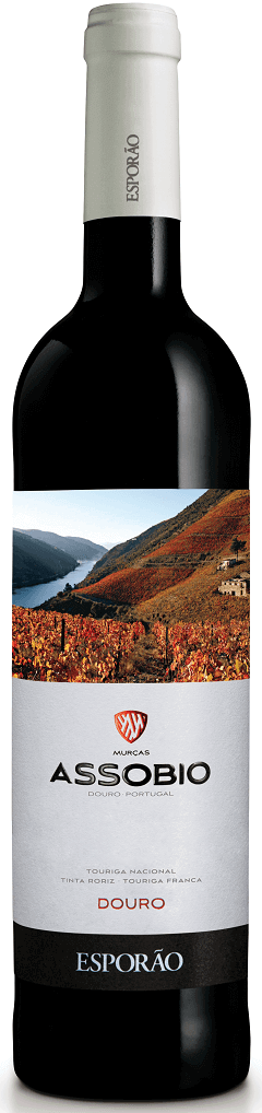 
                  
                    Assobio Tinto
                  
                