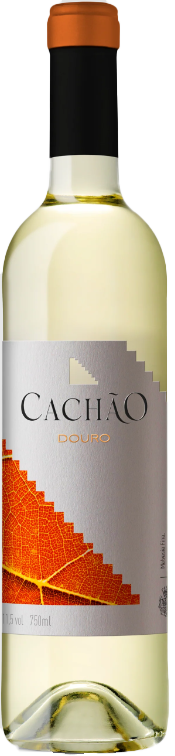 
                  
                    Cachão Branco
                  
                