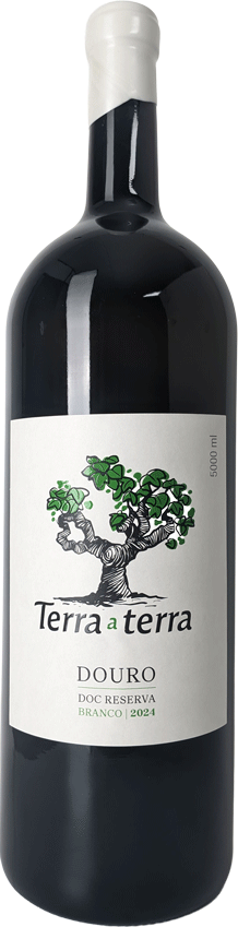 
                  
                    Terra A Terra Reserva Branco 5litros
                  
                