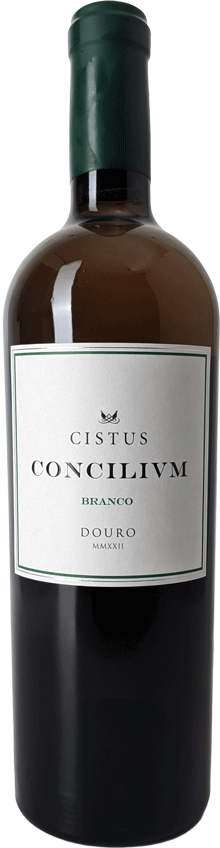 
                  
                    Cistus Concilivm Branco
                  
                