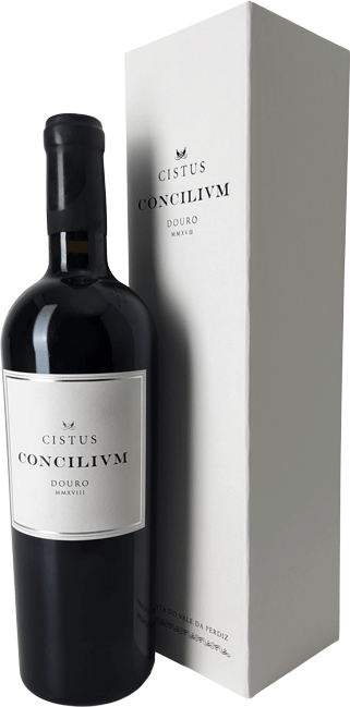 
                  
                    Cistus Concilivm Tinto
                  
                