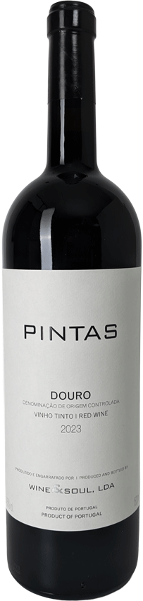 
                  
                    Pintas Tinto Magnum
                  
                